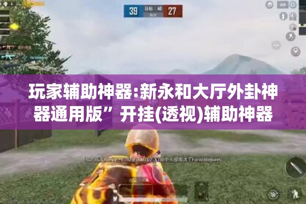 玩家辅助神器:新永和大厅外卦神器通用版	”开挂(透视)辅助神器