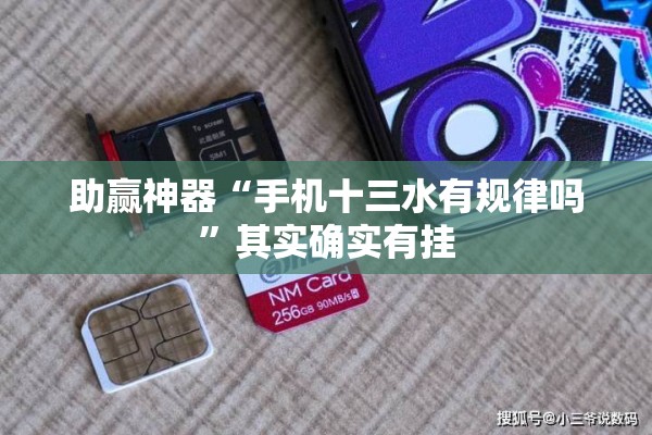 助赢神器“手机十三水有规律吗”其实确实有挂