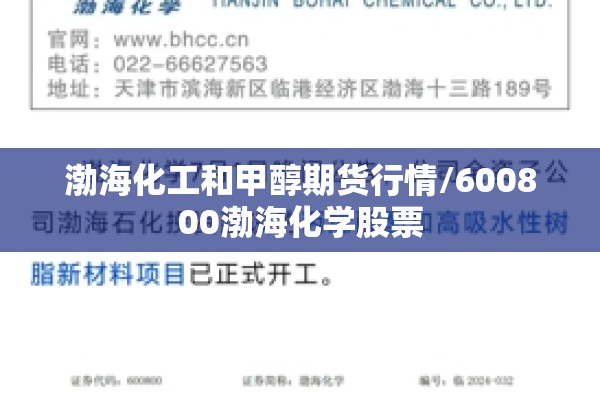 渤海化工和甲醇期货行情/600800渤海化学股票 渤海化工和甲醇期货行情/600800渤海化学股票