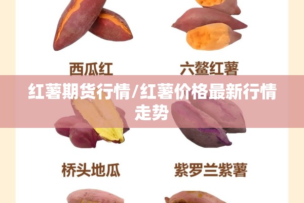 红薯期货行情/红薯价格最新行情走势