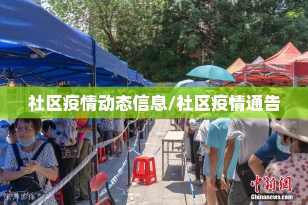 社区疫情动态信息/社区疫情通告 社区疫情动态信息/社区疫情通告