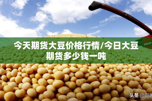 今天期货大豆价格行情/今日大豆期货多少钱一吨 今天期货大豆价格行情/今日大豆期货多少钱一吨
