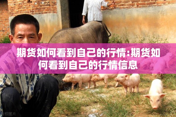 期货如何看到自己的行情:期货如何看到自己的行情信息