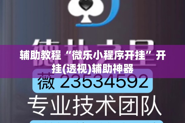 辅助教程“微乐小程序开挂	”开挂(透视)辅助神器