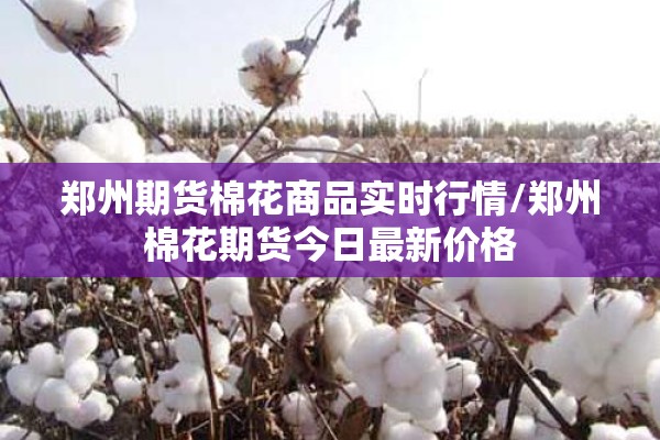 郑州期货棉花商品实时行情/郑州棉花期货今日最新价格