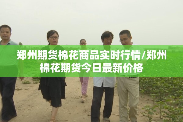 郑州期货棉花商品实时行情/郑州棉花期货今日最新价格