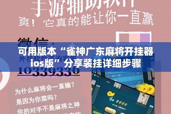 可用版本“雀神广东麻将开挂器ios版”分享装挂详细步骤