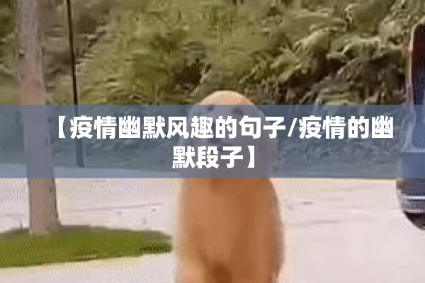 【疫情幽默风趣的句子/疫情的幽默段子】