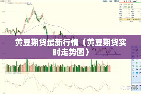 黄豆期货最新行情(黄豆期货实时走势图) 黄豆期货最新行情(黄豆期货实时走势图)