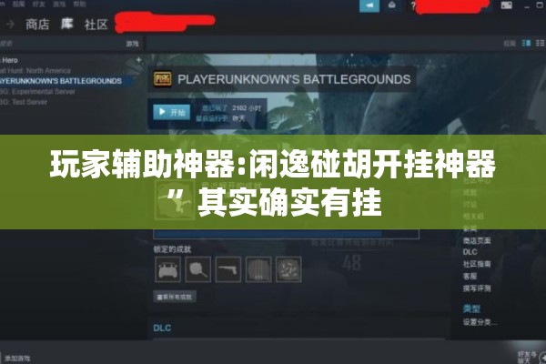 玩家辅助神器:闲逸碰胡开挂神器	”其实确实有挂