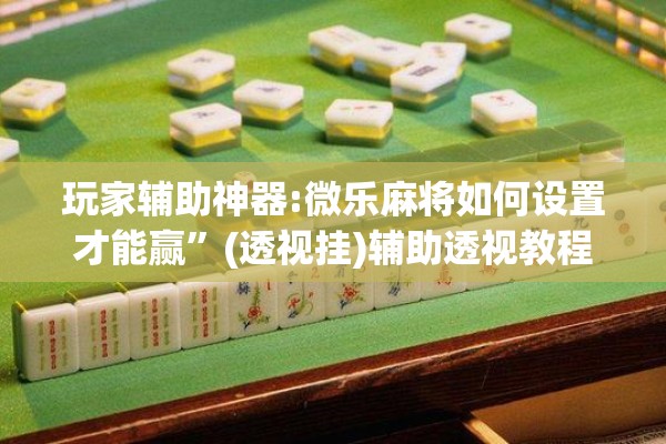 玩家辅助神器:微乐麻将如何设置才能赢”(透视挂)辅助透视教程