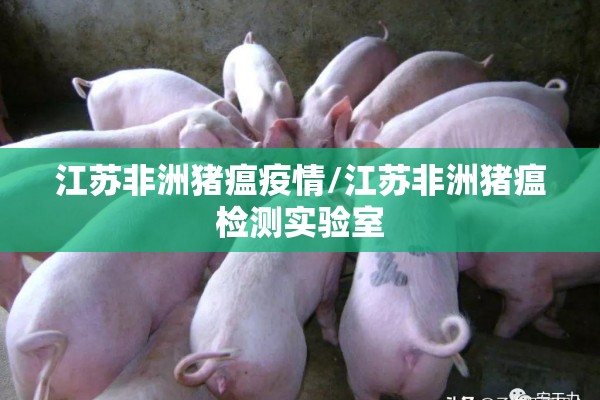 江苏非洲猪瘟疫情/江苏非洲猪瘟检测实验室 江苏非洲猪瘟疫情/江苏非洲猪瘟检测实验室