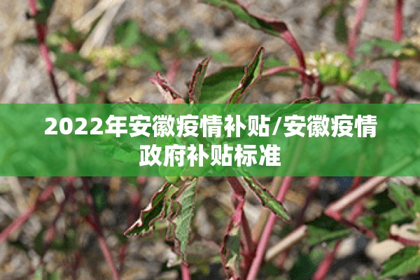 2022年安徽疫情补贴/安徽疫情政府补贴标准