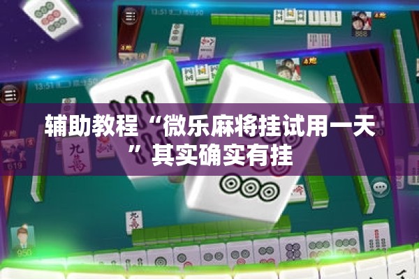 辅助教程“微乐麻将挂试用一天	”其实确实有挂
