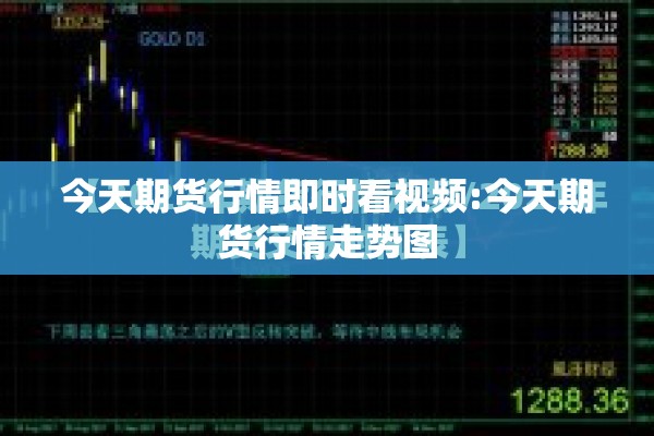 今天期货行情即时看视频:今天期货行情走势图