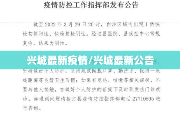 兴城最新疫情/兴城最新公告