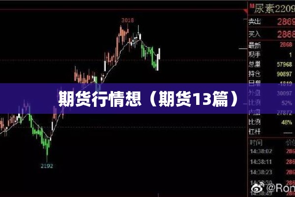 期货行情想（期货13篇）