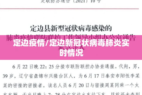 定边疫情/定边新冠状病毒肺炎实时情况