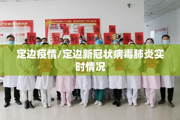 定边疫情/定边新冠状病毒肺炎实时情况