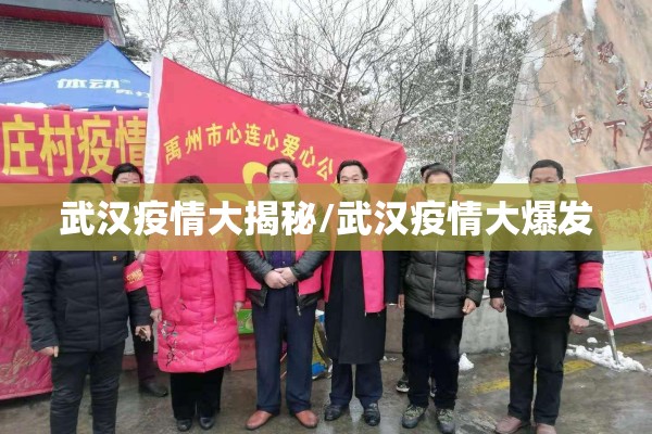 武汉疫情大揭秘/武汉疫情大爆发