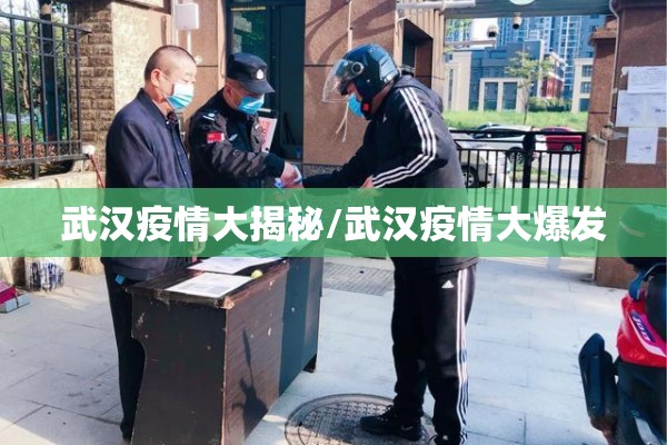 武汉疫情大揭秘/武汉疫情大爆发