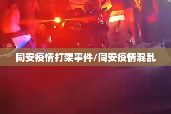 同安疫情打架事件/同安疫情混乱