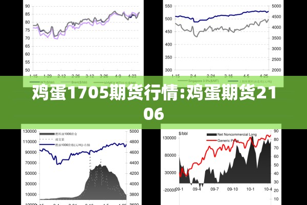 鸡蛋1705期货行情:鸡蛋期货2106