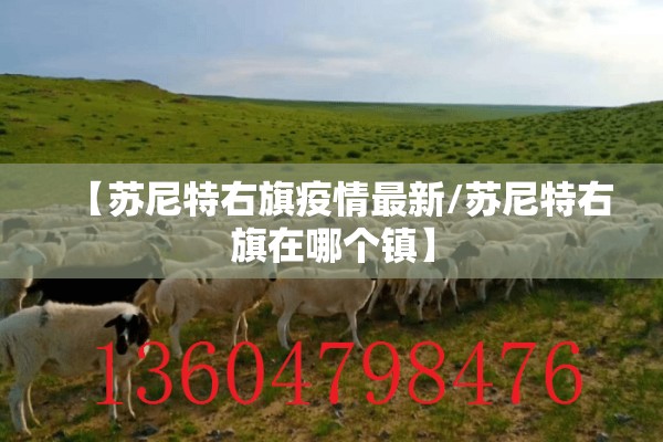 【苏尼特右旗疫情最新/苏尼特右旗在哪个镇】 【苏尼特右旗疫情最新/苏尼特右旗在哪个镇】