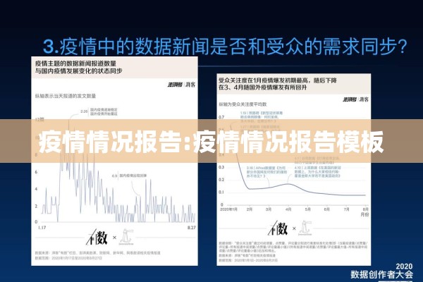 疫情情况报告:疫情情况报告模板