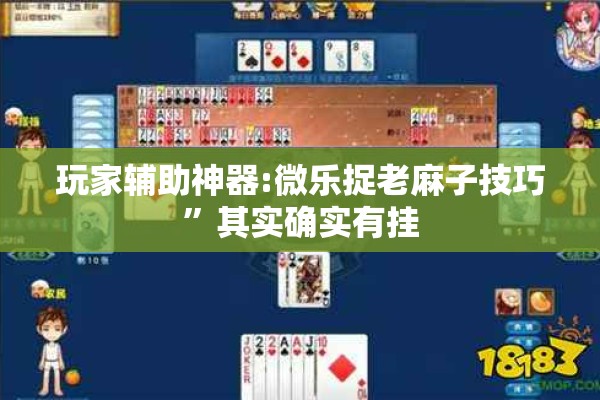 玩家辅助神器:微乐捉老麻子技巧	”其实确实有挂