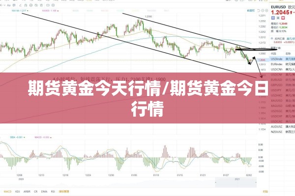 期货黄金今天行情/期货黄金今日行情