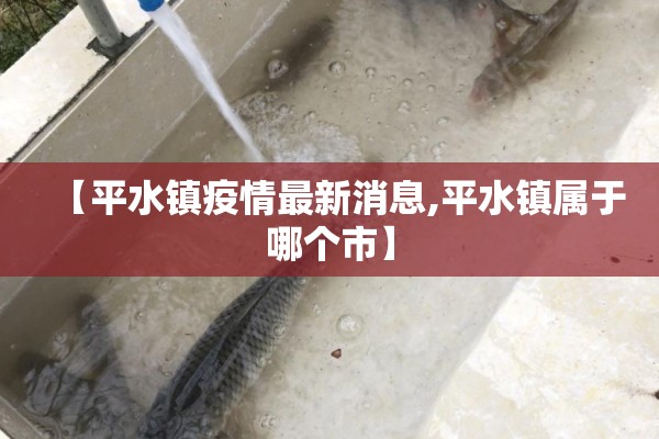 【平水镇疫情最新消息,平水镇属于哪个市】