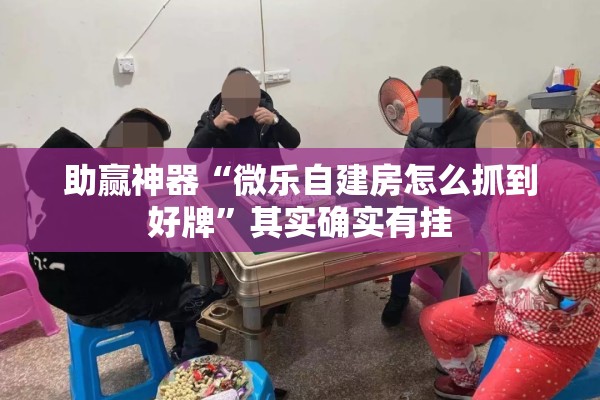 助赢神器“微乐自建房怎么抓到好牌”其实确实有挂