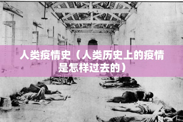 人类疫情史（人类历史上的疫情是怎样过去的）
