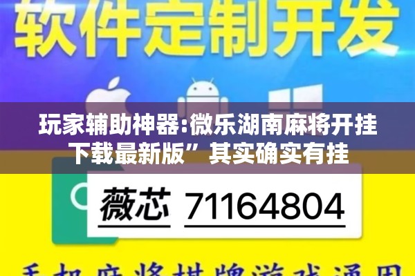 玩家辅助神器:微乐湖南麻将开挂下载最新版	”其实确实有挂