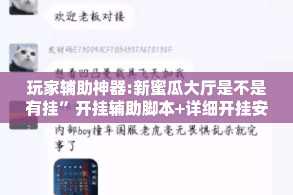 玩家辅助神器:新蜜瓜大厅是不是有挂	”开挂辅助脚本+详细开挂安装教程