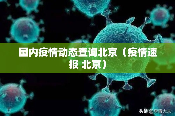国内疫情动态查询北京（疫情速报 北京）
