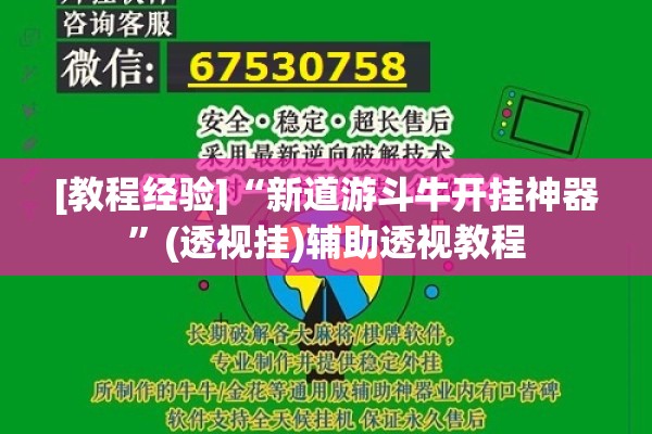 [教程经验]“新道游斗牛开挂神器”(透视挂)辅助透视教程