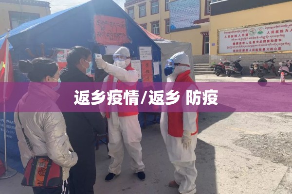 返乡疫情/返乡 防疫 返乡疫情/返乡 防疫