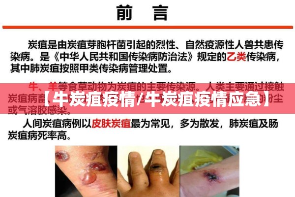 【牛炭疽疫情/牛炭疽疫情应急】 【牛炭疽疫情/牛炭疽疫情应急】