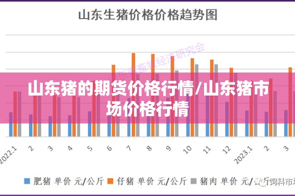 山东猪的期货价格行情/山东猪市场价格行情