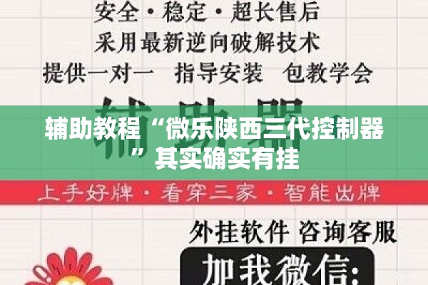 辅助教程“微乐陕西三代控制器”其实确实有挂