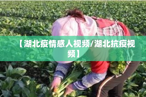 【湖北疫情感人视频/湖北抗疫视频】 【湖北疫情感人视频/湖北抗疫视频】