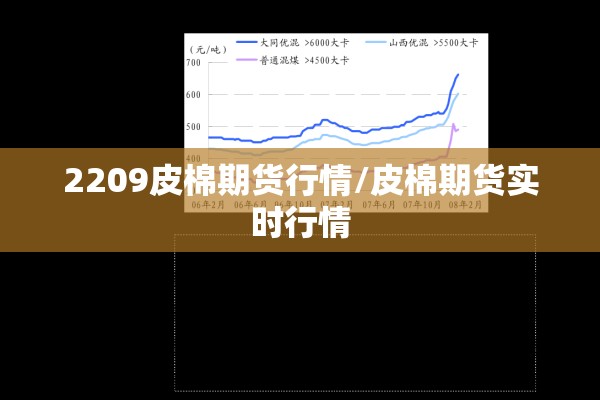 2209皮棉期货行情/皮棉期货实时行情 2209皮棉期货行情/皮棉期货实时行情