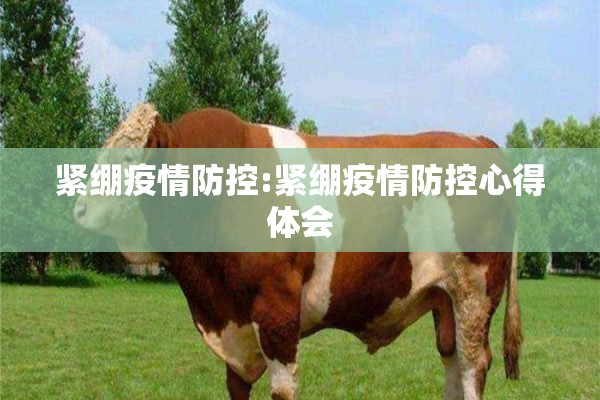 紧绷疫情防控:紧绷疫情防控心得体会 紧绷疫情防控:紧绷疫情防控心得体会