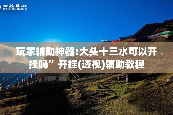 玩家辅助神器:大头十三水可以开挂吗	”开挂(透视)辅助教程
