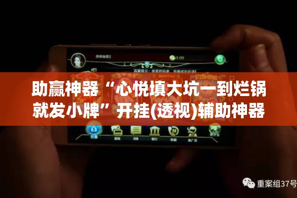 助赢神器“心悦填大坑一到烂锅就发小牌”开挂(透视)辅助神器