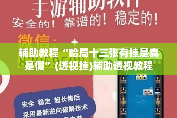 辅助教程“哈局十三张有挂是真是假”(透视挂)辅助透视教程
