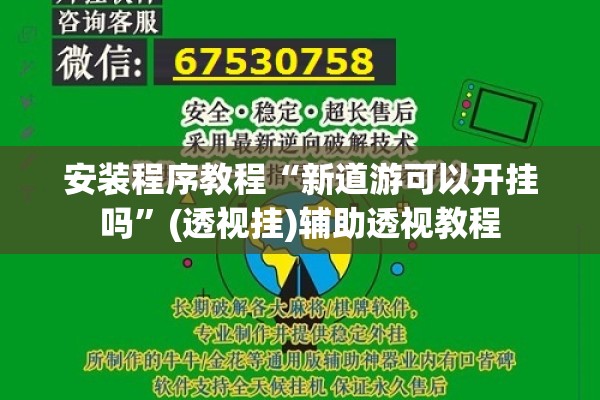 安装程序教程“新道游可以开挂吗”(透视挂)辅助透视教程