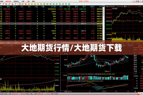 大地期货行情/大地期货下载